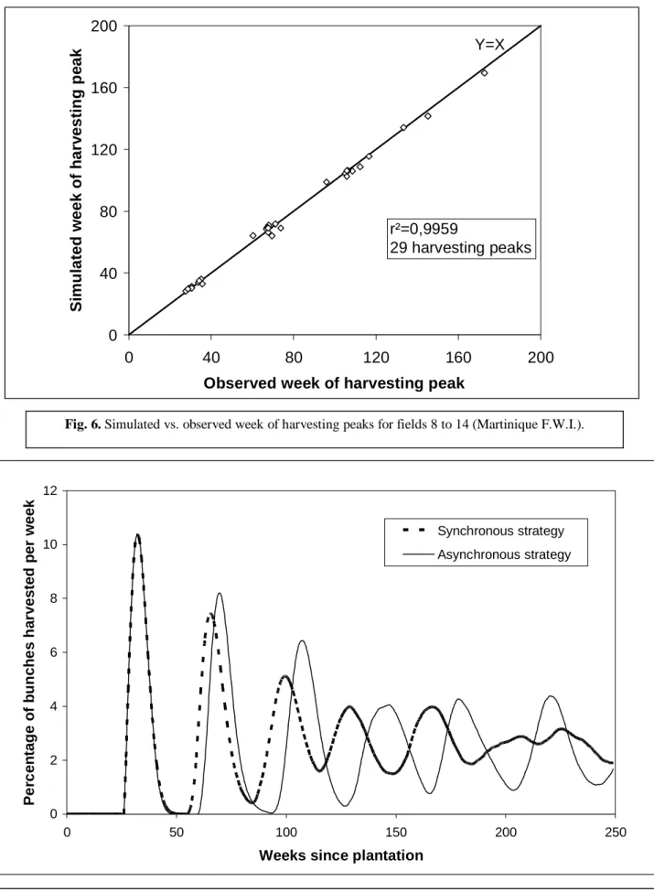 Fig. 6. Simulated vs. observed week of harvesting peaks for fields 8 to 14 (Martinique F.W.I.)
