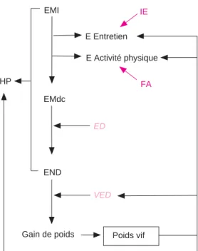 Figure 4. Architecture de base du modèle éner- éner-gétique d’INAVI. 