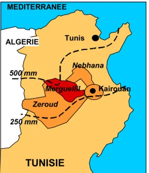 Figure 1. Les trois bassins versants de la région centre de Tunisie.