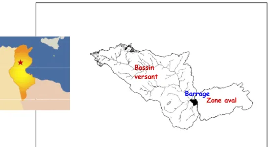 Figure 2. Localisation et présentation schématique de la zone d’étude : bassin versant de l’oued Merguellil au niveau du barrage d’El Haouareb et zone aval de la plaine de Kairouan, où la nappe hydrogéologique a été identifiée comme étant sous influence hy