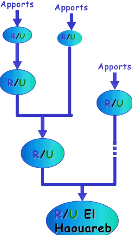 Figure 3. Schématisation des relations ressources-usages au sein du bassin, sous la forme d’une arborescence d’ERU.