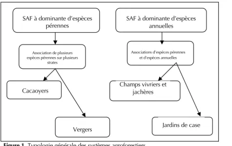 Figure 1. Typologie générale des systèmes agroforestiers.