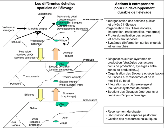 Figure 1. Les différentes échelles spatiales de l’élevage et les priorités d’intervention.