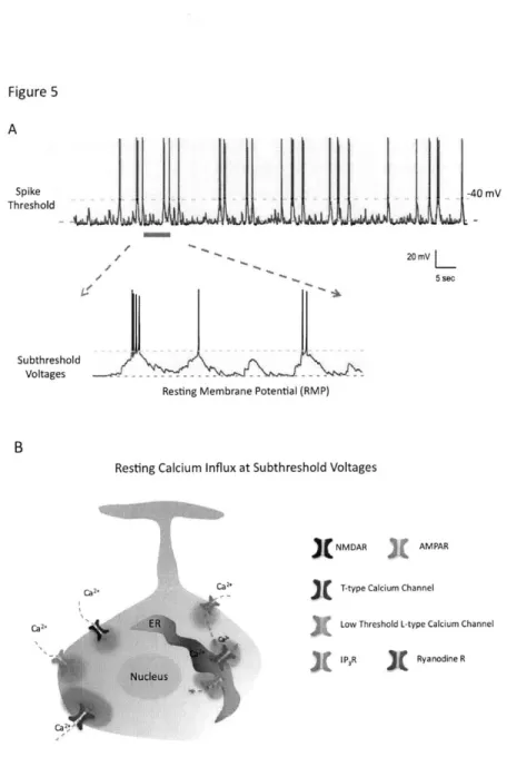 Figure 5 A Spike Threshold Subthreshold Voltages -40 mV20 mV L5 sec