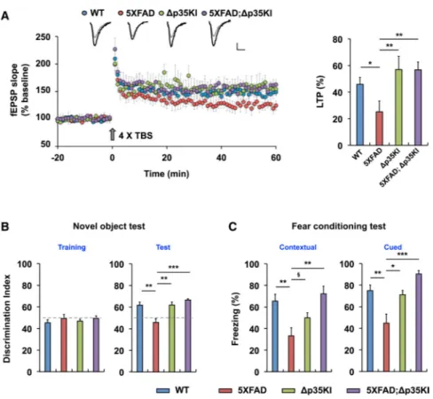 Figure 6. Inhibition of p25 Generation Rescues Synaptic Dysfunction and Cognitive Impairment  in 5XFAD Mice