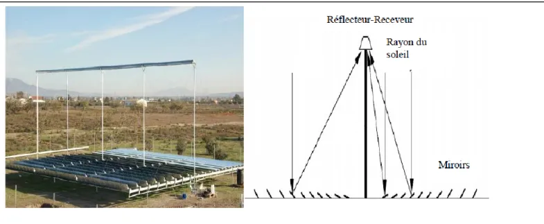 Figure 1. 4 Schéma d’un concentrateur solaire de Fresnel (Soteris, 2004)