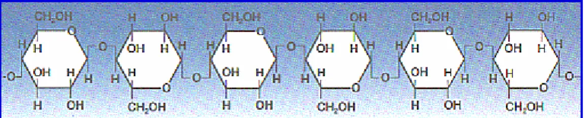 Figura I. 2. Estructura química de la celulosa. 