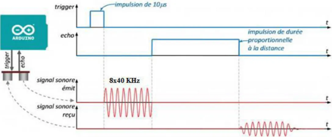 Figure 3.6 : Illustration du signal TRIGGER et ECHO [23]. 