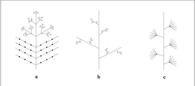 Figure 6: Examples of non-self-similar structures. a) The upper part is perfectly self- self-similar and the basal part is not