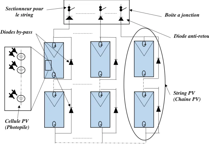 Figure II.1: Générateur PV avec une protection par diode by-pass et anti-retour [18]. 