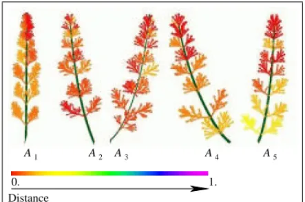 Fig. 2. Color-coded representation of paracla- paracla-dial coefficients of branches of order 2