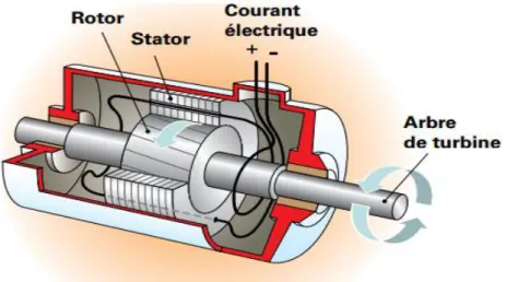 Figure 1.12 : Schéma de l’alternateur à aimant permanent.  