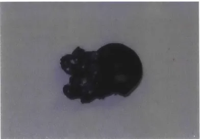 Figure 13:  Example  of melted  calorimetry sample,  initially circular in shape.