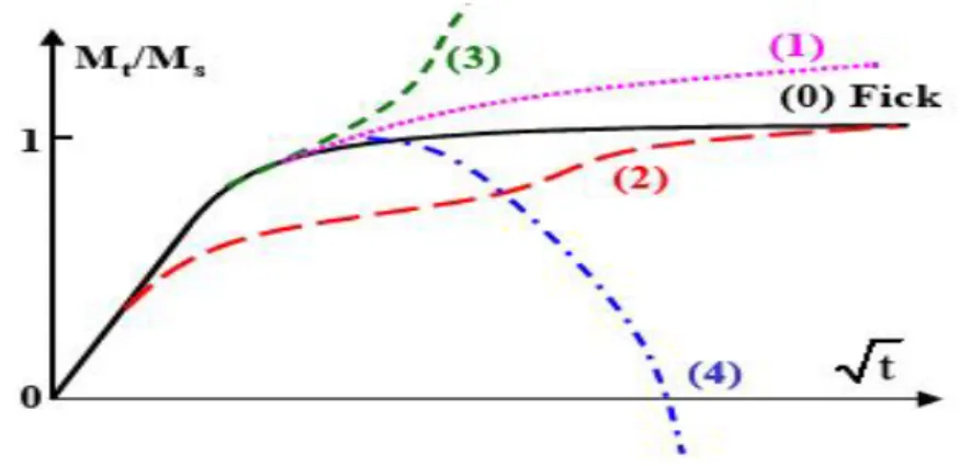 Figure 2.3: Courbes schématiques représentatives de quatre catégories de cinétiques  d’absorption  non Fickienne [45]
