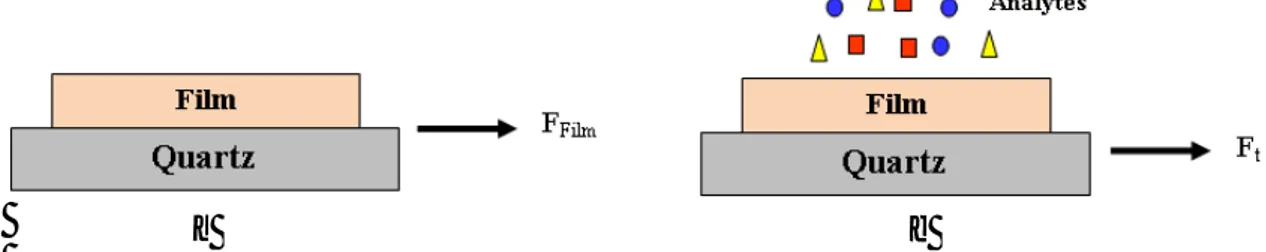 Figure 2.4: La fréquence de résonance du quartz avec film (a), et pendant le processus  l'absorption à l'instant t (b) 