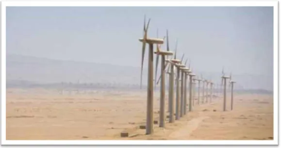 Figure I.5.  Ferme éolienne à Adrar [4] 
