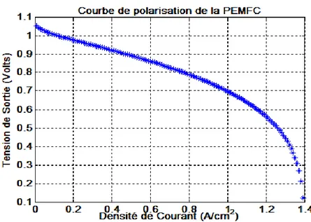 Figure II.3 : Courbe de polarisation de PEMFC.
