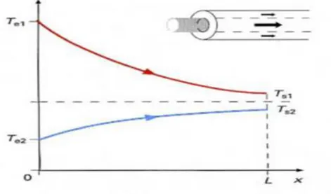 Figure II.1: évolution qualitative des températures dans un échangeur tubulaire Co-Courant 
