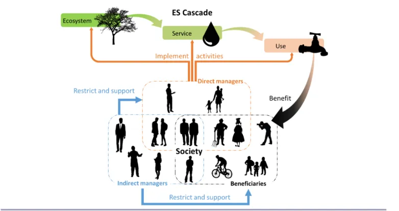 Fig. 1. Analytical framework. Two forms of ecosystem service (ES) management, direct and indirect, can happen at three steps of the ES cascade: ecosystem, service, and use.