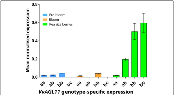 Figure 5 VvAGL11 transcript profile is genotype dependent at key stages of seed development