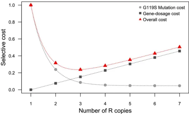 Fig 5. Hypothetical model to explain the non-monotonous relationship between fitness cost and the number of R copies, and the minimum cost centered on three copies per chromosome