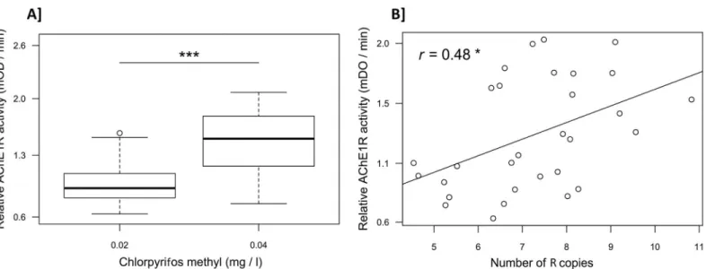 Fig 3. Relationship between AChE1 activity and insecticide resistance, or the number of R copies
