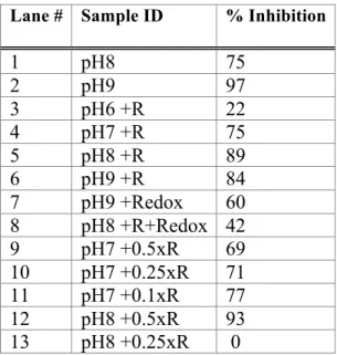 Table 1: Corresponding inhibitory activity of ADAM9 using a fixed volume of buffer containing  proA9 from different refolding conditions