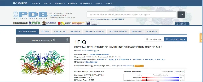 Figure 12 : Interface de Protein Data Bank (http://www.rcsb.org/pdb/home/home.do). 