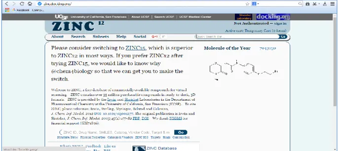 Figure 14 : Interface de Zinc DATABASE (http://zinc.docking.org/). 