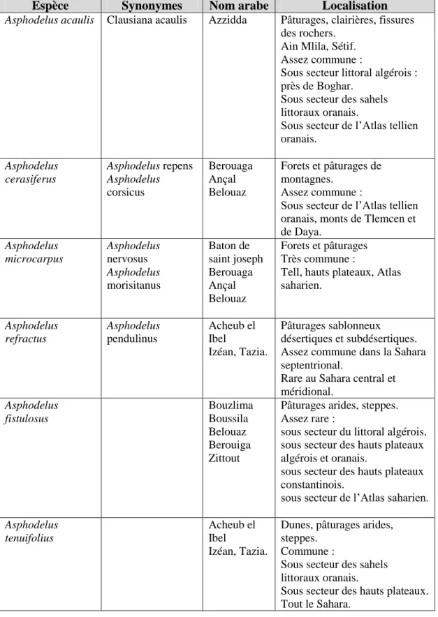 Tableau 1 : Les espèces d’asphodèles en Algérie. 