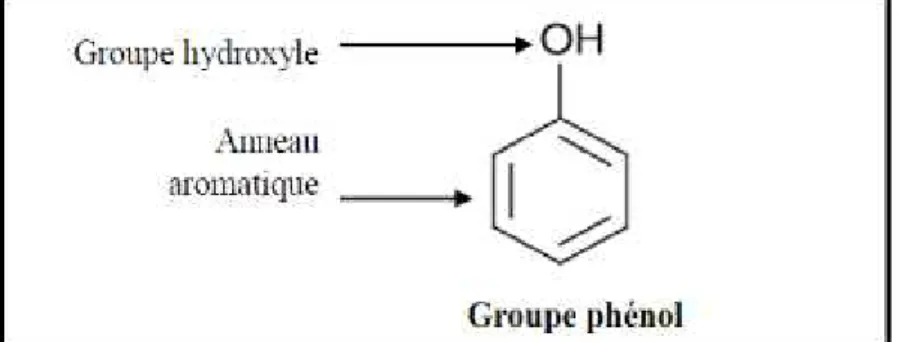 Figure 04 : Structure chimique des polyphénols