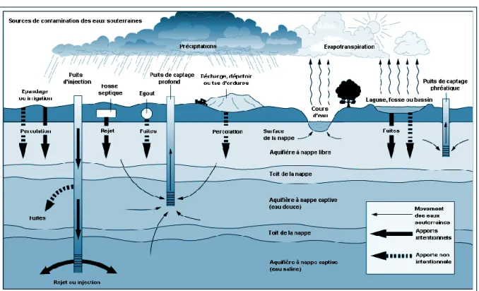 Tableau I.4 : Origines et natures de différentes sources de pollution de l’eau (Henaut, 2011)