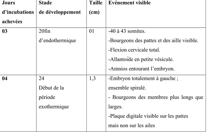 Tableau 06: Les différents stades de développement embryonnaire de la poule (3- 21) jours  d’incubation (Houillon, 1967)