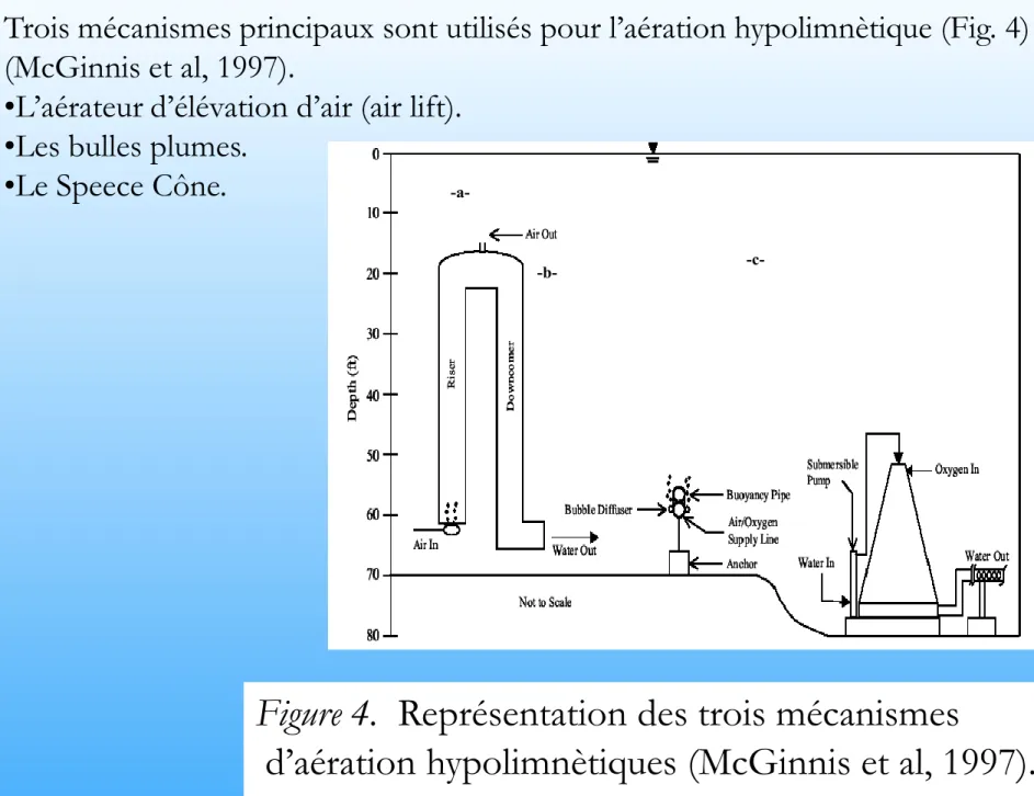 Figure 4.  Représentation des trois mécanismes 