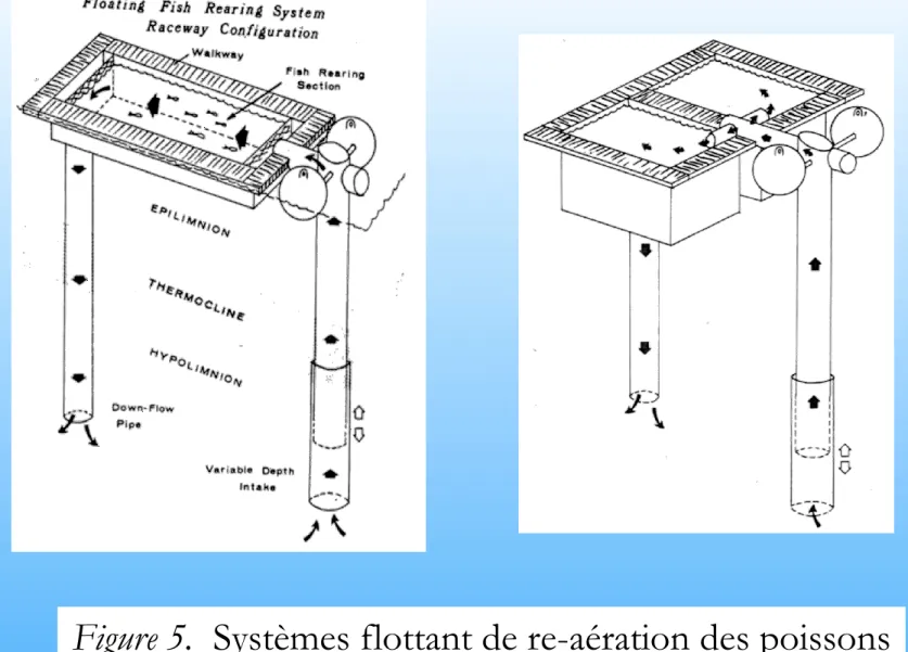 Figure 5.  Systèmes flottant de re-aération des poissons  (Fast, 1978). 