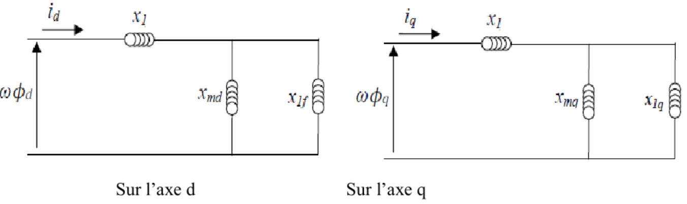 Figure 2. 6Représentation magnétique de la machine synchrone 