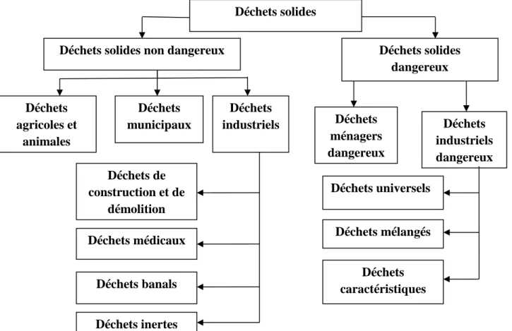 Figure II. 4 : Schéma représentatif les types de déchets solides. 