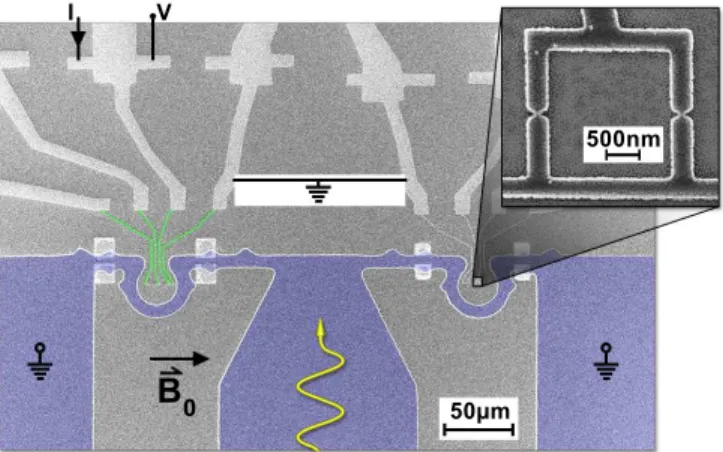 FIG. 1. (color online) Scanning electron micrograph of the device and of the micro-SQUID (inset)