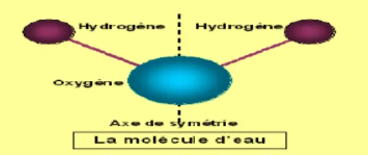 Fig 01 : Structure chimique de la molécule d’eau [15]. 