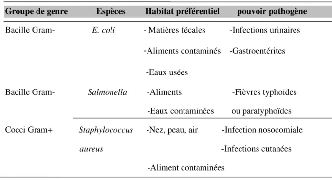 Tableau IV: Description et pouvoir pathogène des souches bactériennes (Chaouche, 2014) ;  (Beddou, 2015) ; (Virlogeux-Payant et al., 2012); (Bouzidi, 2016)