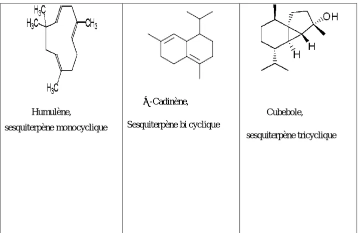 Figure 2 : Exemple des composés  sesquiterpènes rencontrés dans une HE (Nait Achour,  2012)