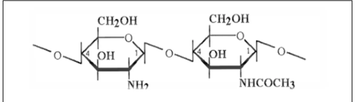 Figure 04. Structure du chitosane (Francis Suh.J.-K and Matthew, 2000). 