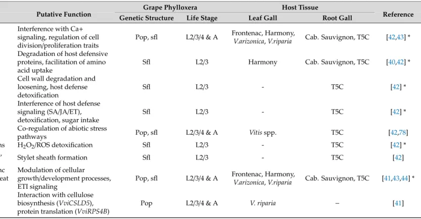 Table 3. Current overview of the grape phylloxera–Vitis interactome. The table reviews previous scientific studies targeting the grape phylloxera effectors taking into account the methodological diversity of the employed insect and plant material