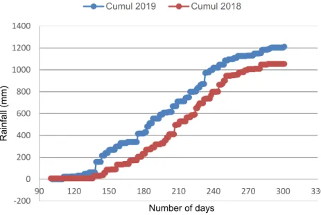 Figure 2. Cumulative rainfall at Bengou research station in 2018–2019. 