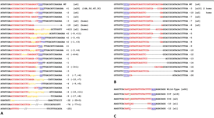 Fig. 3 Mutations and associated frequencies generated by SpCAS9 A), LbCPF1 B) and BECAS9 C)