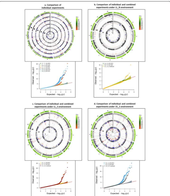 Fig. 6 Circular manhattan plot and qq plot for Grain yield (GY)- a. each of the six experiments (from centre of the plot- 1