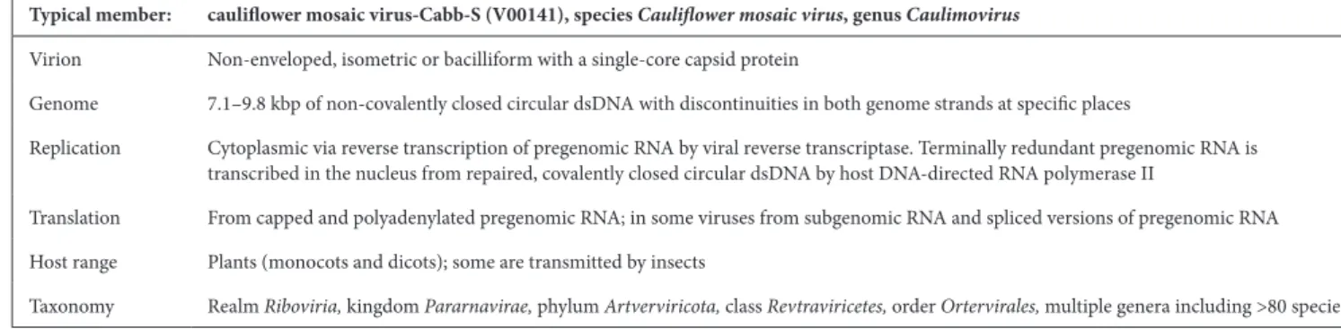 Table 1. Characteristics of members of the family Caulimoviridae