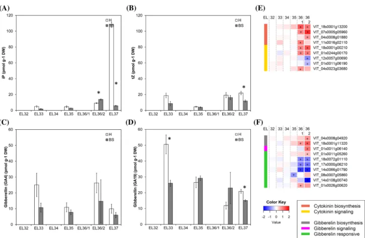 Fig. 6    Results obtained from metabolite analyses of cytokinins and  gibberellins (a–d) and expression of cytokinin and gibberellin  metab-olism- and signal transduction-related genes in healthy (H) and berry  shrivel (BS) grape clusters collected at six