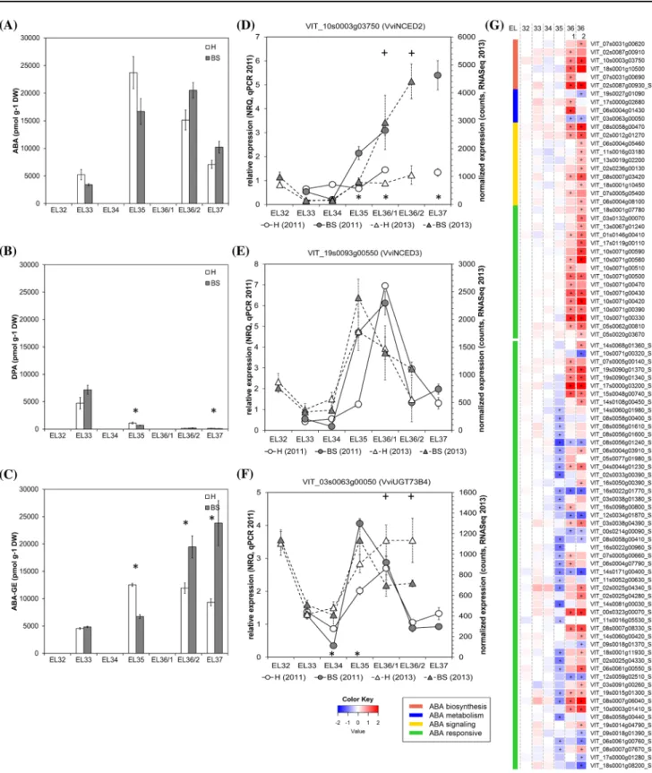 Fig. 2    Results obtained from analyses of ABA and its metabolites  (a–c) and expression of ABA metabolism- and signal  transduction-related genes in healthy (H) and berry shrivel (BS) grape clusters  collected at six sampling dates (EL32, EL33, EL34, EL3