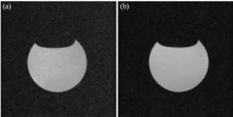 Table 2. SNR comparisons between birdcage coil, saddle coil and SHS4 measured on the same sample, with identical pulse sequence parameters, in a 3 T MRI from RS 2 D; n/a denotes not applicable.